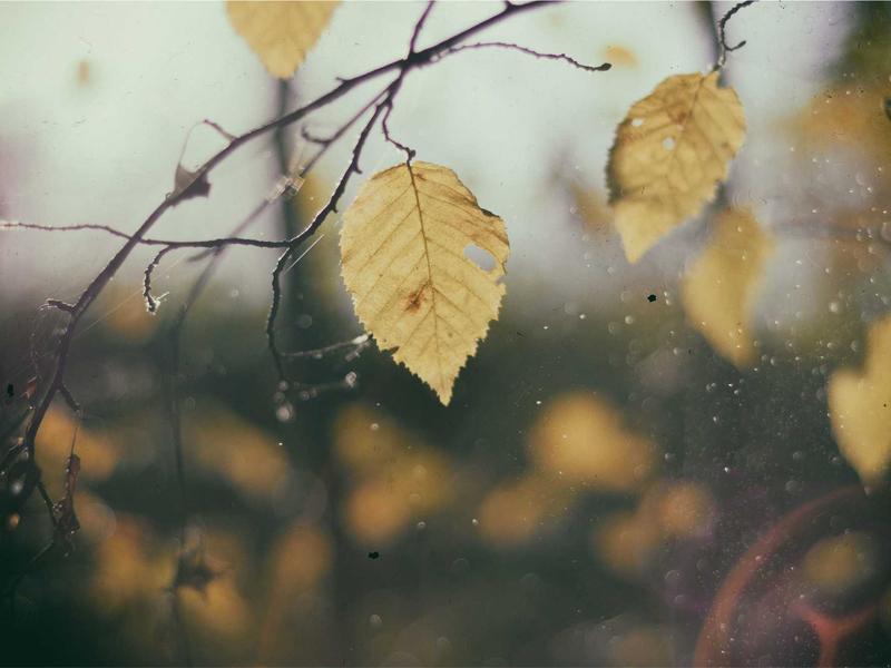 世界的尽头<br>qyi4ujty.cn 是暴风雪的故乡